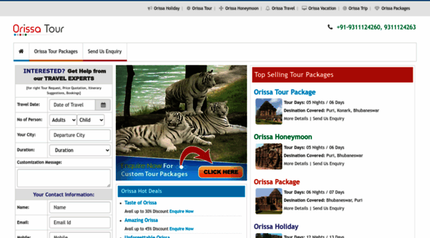 orissatourpackages.co.in