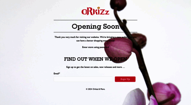 orkizz.com