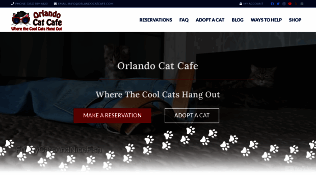 orlandocatcafe.com