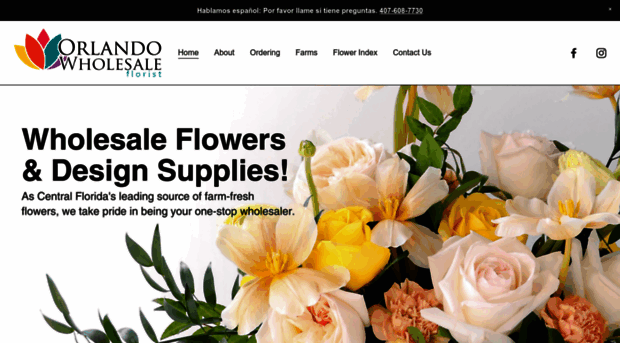 orlandowholesaleflorist.com