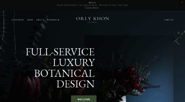 orlykhon.com