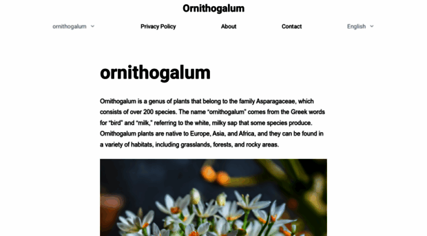 ornithogalum.com