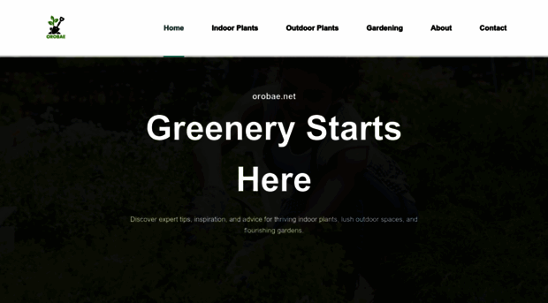 orobae.net