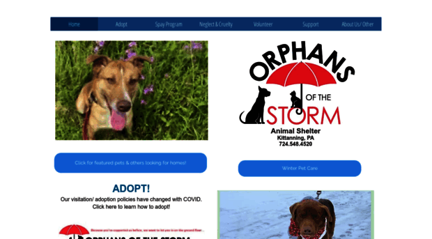 orphansofthestorm-pa.org