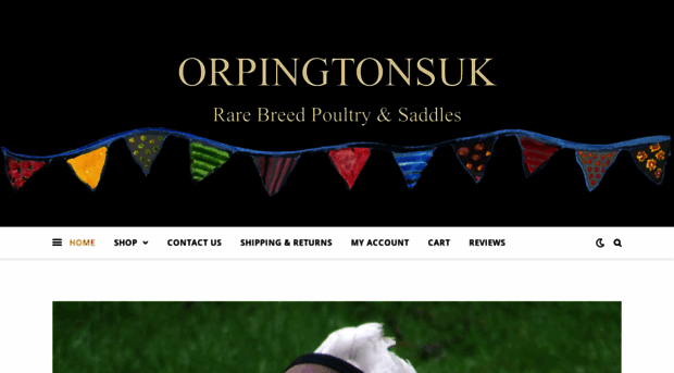 orpingtonsuk.com