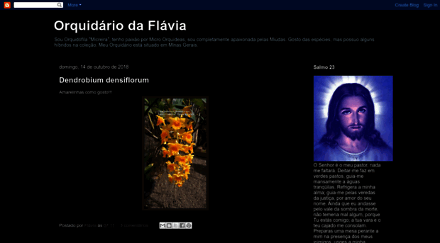 orquidariodaflavia.blogspot.com.br