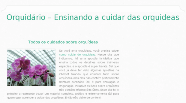 orquidariofaisca.com.br