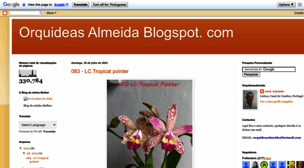 orquideas-almeida.blogspot.com.br