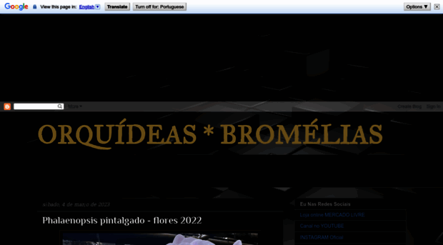 orquideas-bromelias.blogspot.com.br