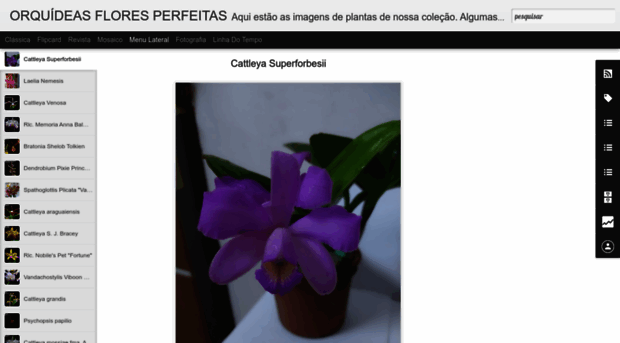 orquideasfloresperfeitas.blogspot.com.br