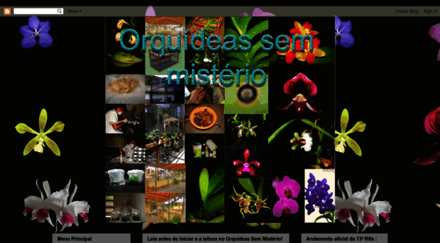 orquideassemmisterio.blogspot.com.br