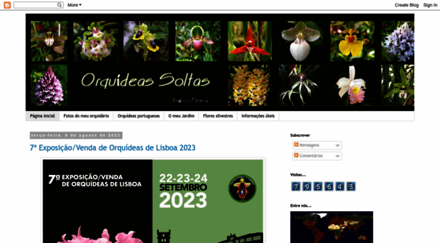 orquideassoltas.blogspot.com.br