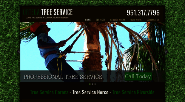ortegatreeandlawnservices.com