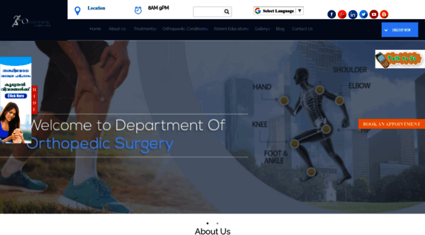 orthopaedic-surgery-india.com