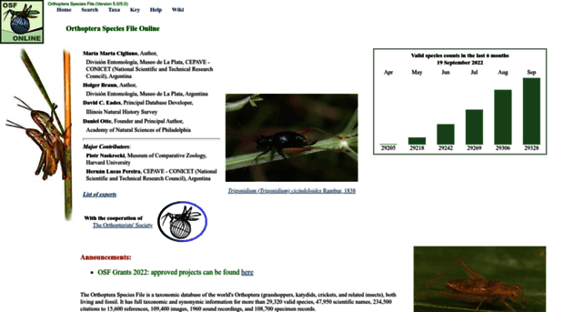 orthoptera.speciesfile.org
