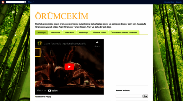 orumcekim.blogspot.com