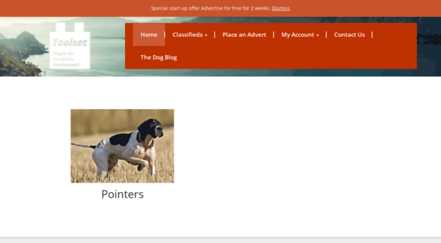 oscarsgundogs.co.uk