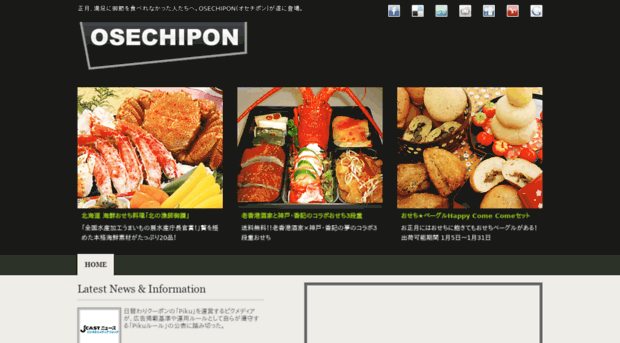 osechipon.com