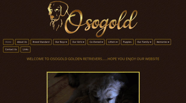 osogold.com