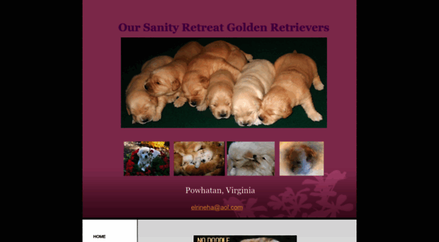 osrgoldenretrievers.com