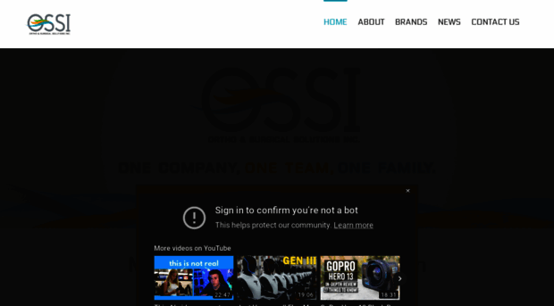 ossipr.com