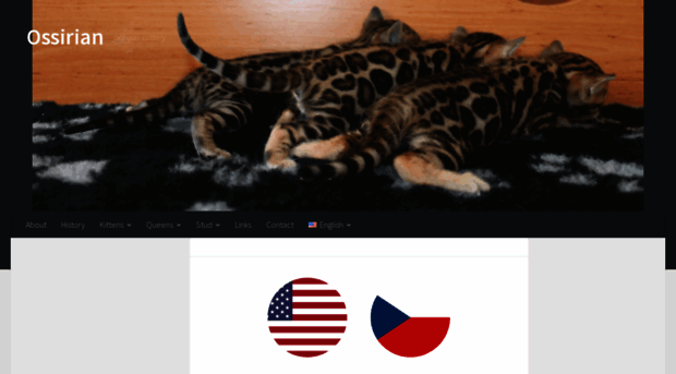 ossirianbengals.com