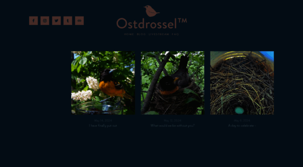 ostdrossel.com