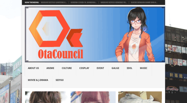 otacouncil.com