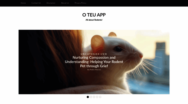 oteuapp.com