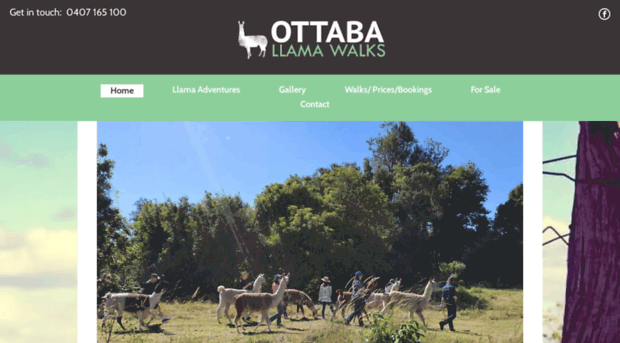 ottaballamawalks.com