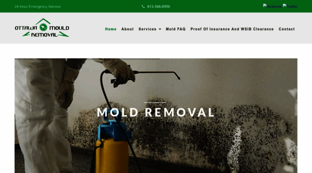 ottawa-mold-removal-ottawa.com