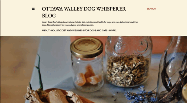 ottawavalleydogwhisperer.blogspot.ca