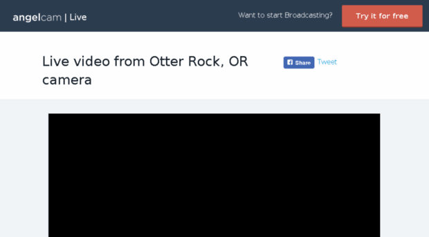 otterrock.click2stream.com