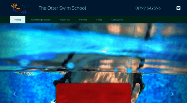 otterswimschool.com