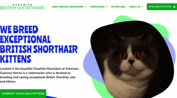 ouachitabritishshorthair.com