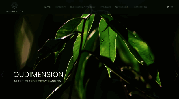oudimension.com