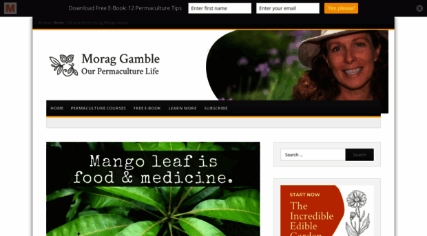 our-permaculture-life.blogspot.com