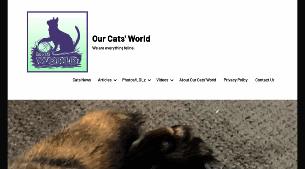 ourcatsworld.com