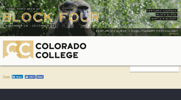 ourcc.coloradocollege.edu