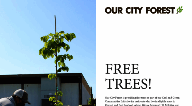 ourcityforest.org