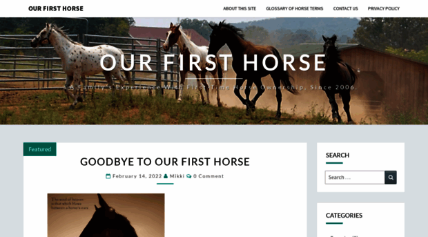 ourfirsthorse.com