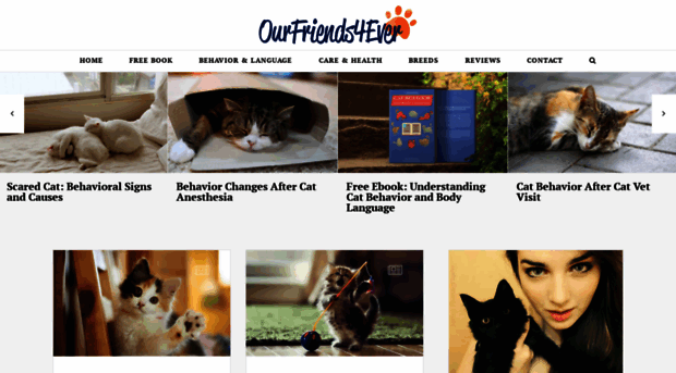 ourfriends4ever.com