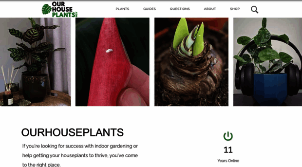 ourhouseplants.com