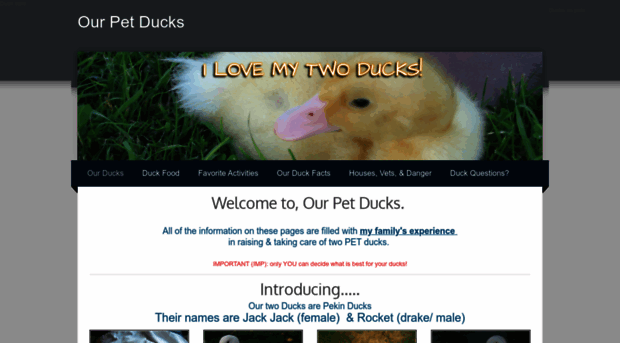 ourpetducks.weebly.com