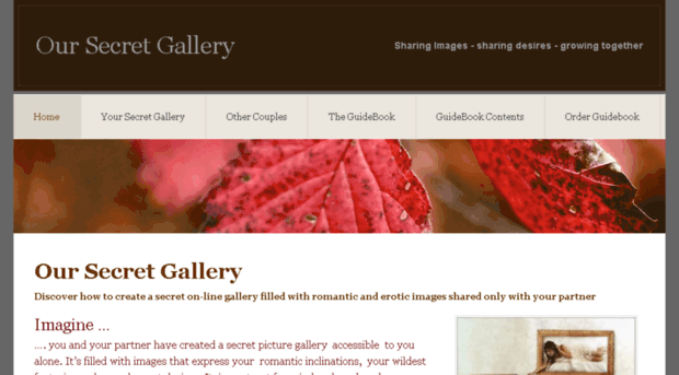 oursecretgallery.com