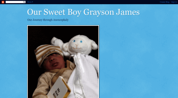 oursweetboygraysonjames.blogspot.co.nz