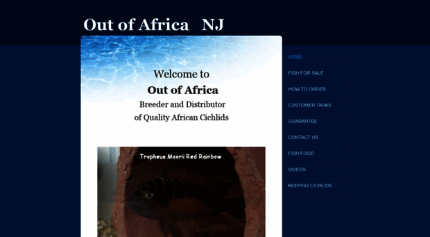 outofafricanj.com