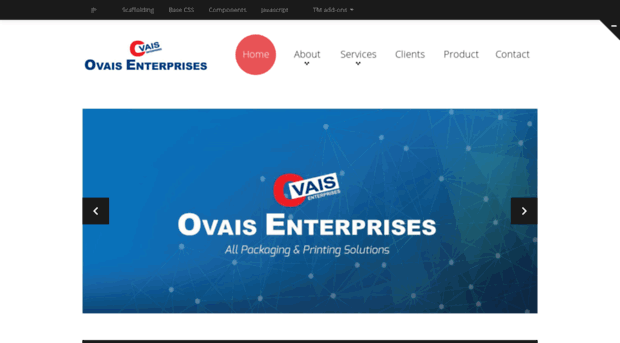 ovaisenterprise.com