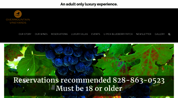 overmountainvineyards.com