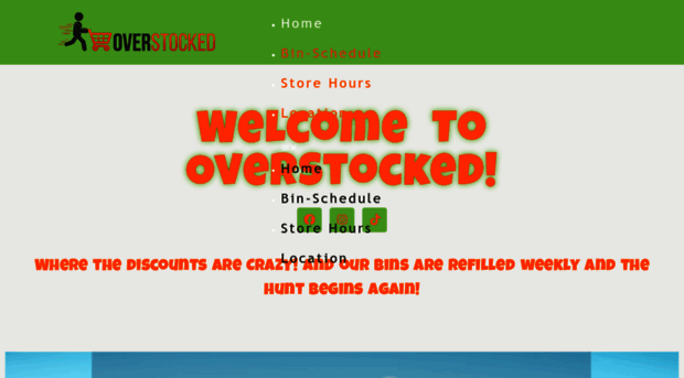 overstockedbins.com